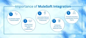 Importance of MuleSoft integration 