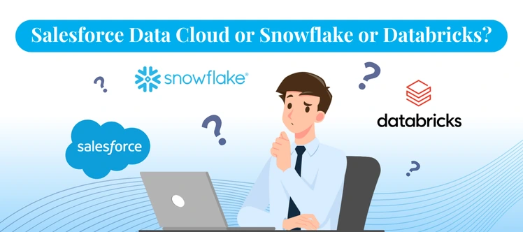 Salesforce Data Cloud or Snowflake or Databricks? A Deep Dive